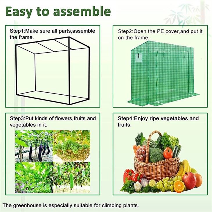 Mini Tomato Greenhouse & Others